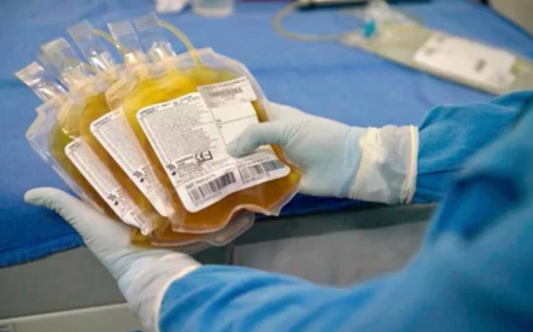 Donan plasma para enfermos Covid-19 apoyos donaciones pacientes enfermos  salud diputado - El Heraldo de Chiapas | Noticias Locales, Policiacas,  sobre México, Chiapas y el Mundo